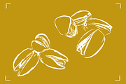 PISTACHIOS LINE ART (12+ ELEMENTS), a Food Illustration by Bonfloret Studio (Thumbnail 3 of 7)
