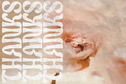 Orelia Display, a Sans Serif Font by Orenari (Thumbnail 11 of 11)