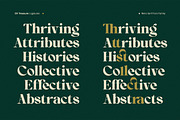 OV Treasure Retro Serif Font Family, a Serif Font by OV Type (Thumbnail 14 of 21)