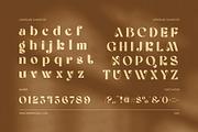 Sickya Elegant Serif Font, a Serif Font by Elegant Font (Thumbnail 8 of 8)