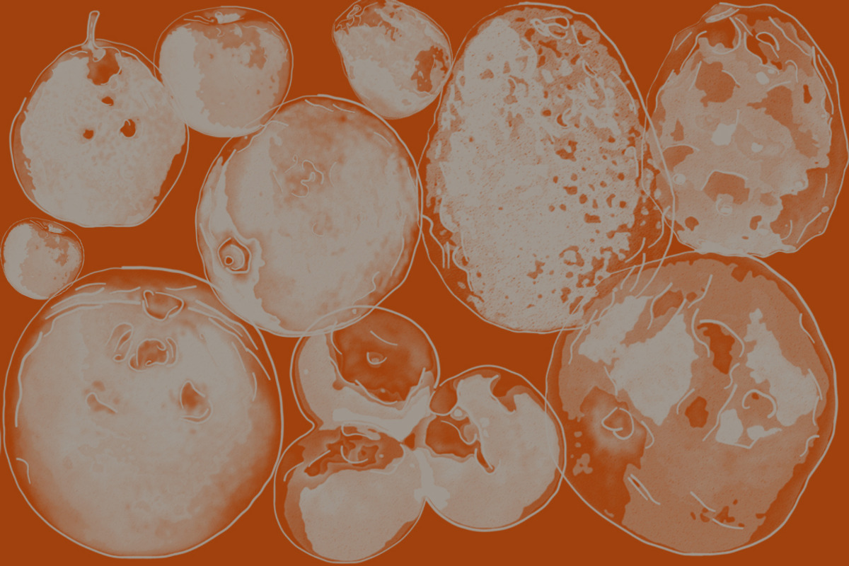 Fruit Brushes - Vol 1, a Brush Add-On by PixieSparks (Photo 5 of 5)