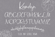 Kamdyn Calligraphy Font + Extras, a Script Font by Seven Seas Design Co. (Thumbnail 2 of 4)