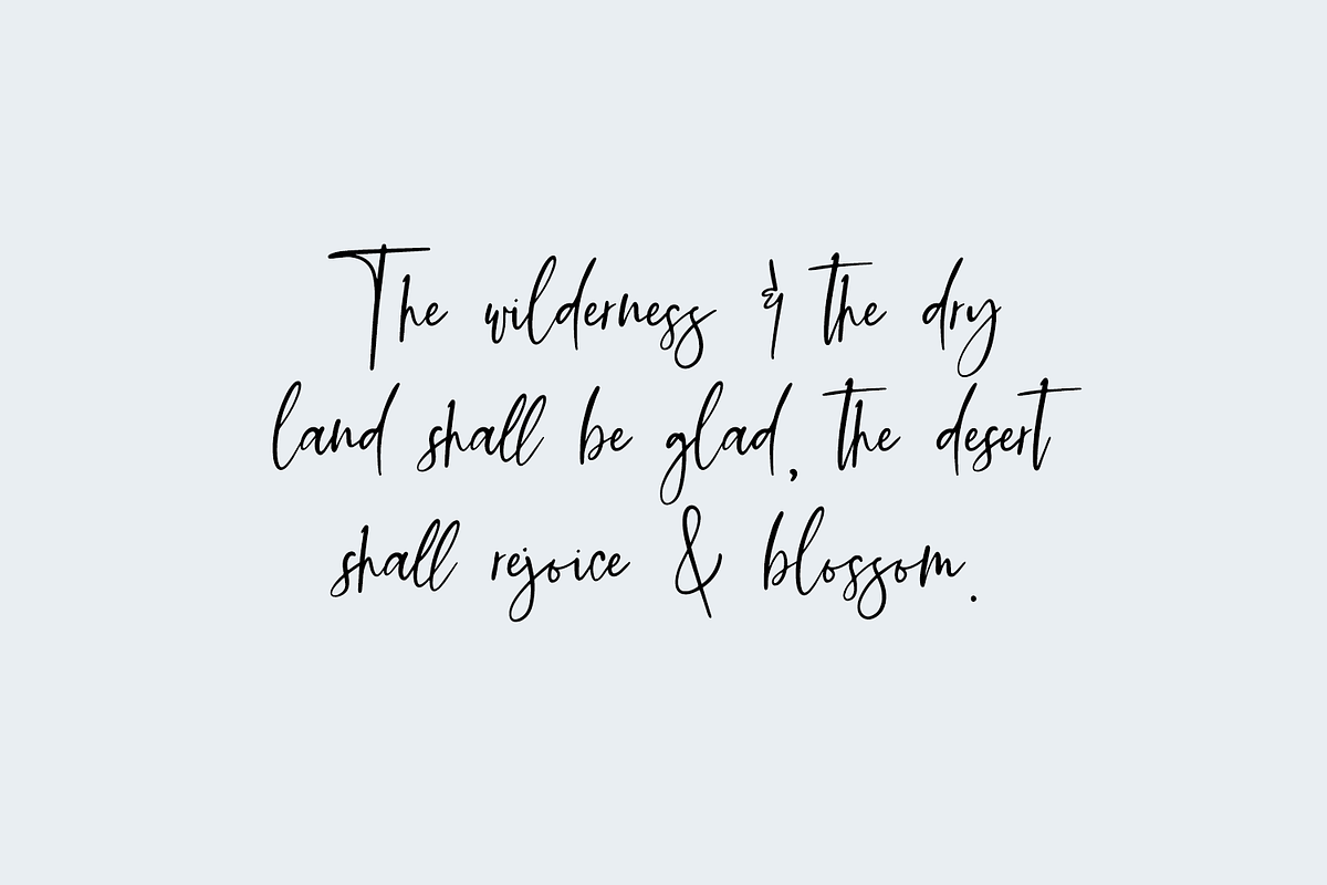 Sierra Gorge Script, a Script Font by Beck McCormick (Photo 2 of 10)