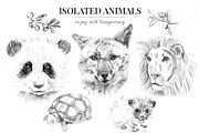 Wild animals. Sketch edition. 22 PNG, an Animal Illustration by Art by Lady Natali (Thumbnail 2 of 6)