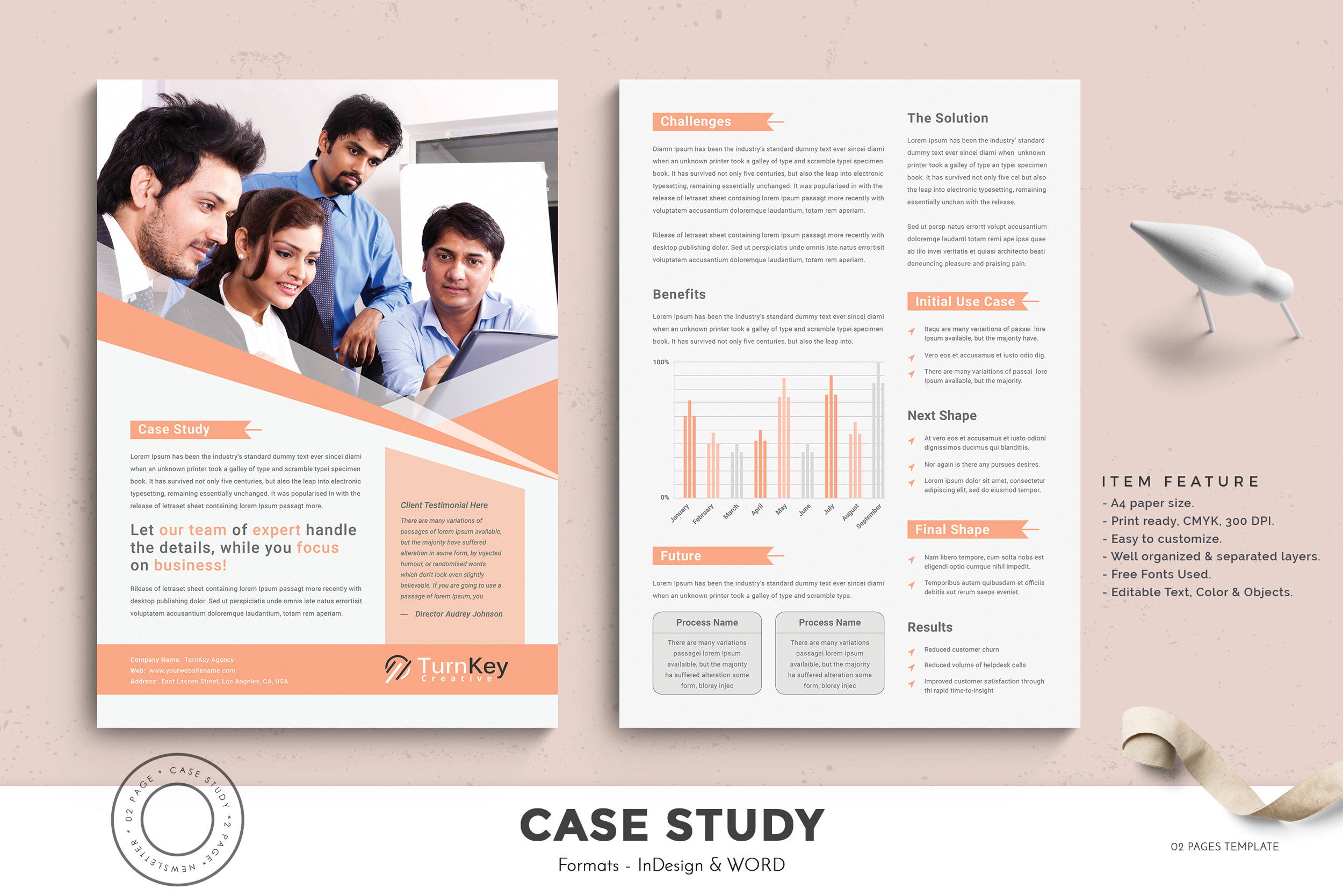 Clean Case Study Flyer Template, a Print Template by TelaTemplates ...
