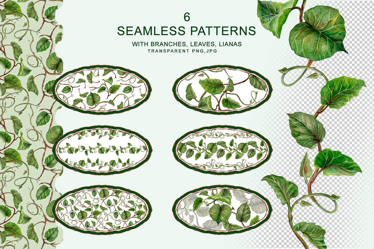 KIWI PATTERNS, botanical watercolor, a Decorative Illustration by EL_SUHOVA (Photo 4 of 13)