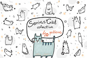 Serious Cat Collection - 40 patterns, a Pattern Graphic by Zooza Art (Thumbnail 1 of 8)