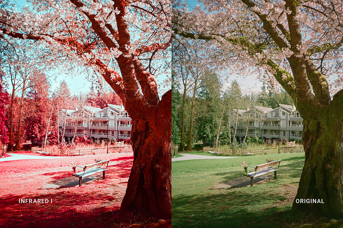 Infrared I, a Preset Add-On by colorituals (Photo 4 of 8)