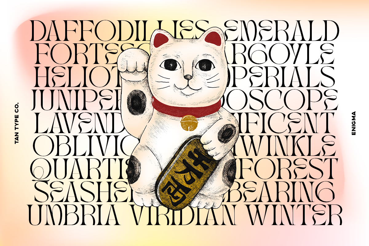 TAN - ENIGMA, a Serif Font by TanType (Photo 4 of 16)