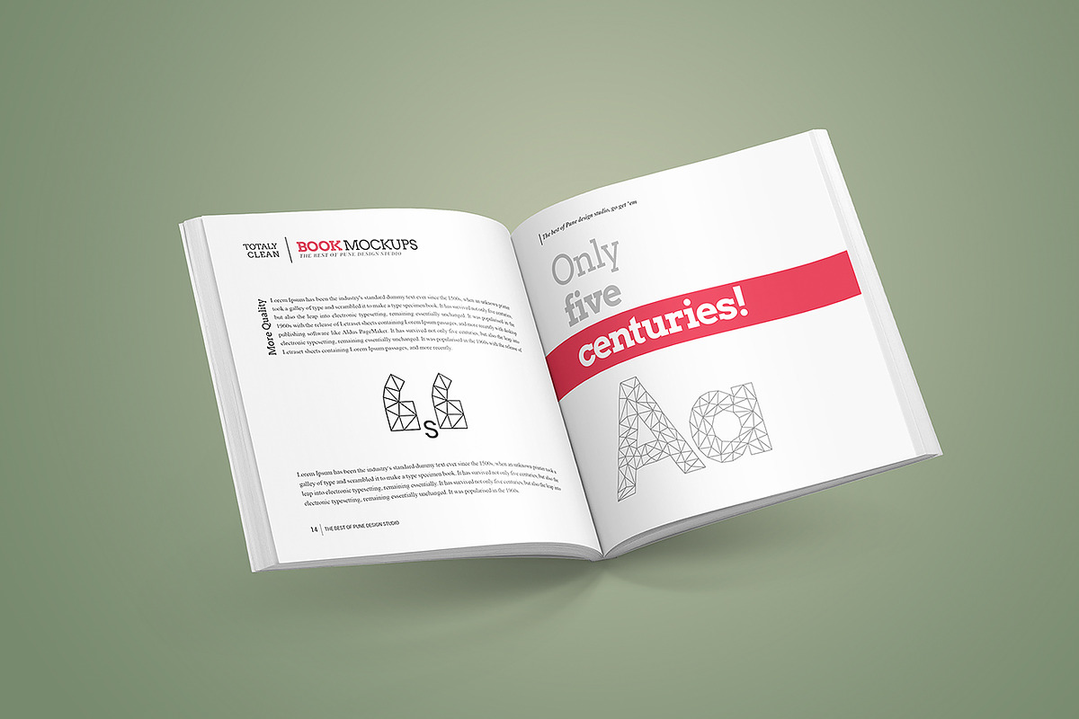Softcover Square Book Mock-Up, a Books & Magazine Mockup by PuneDesign (Photo 4 of 11)