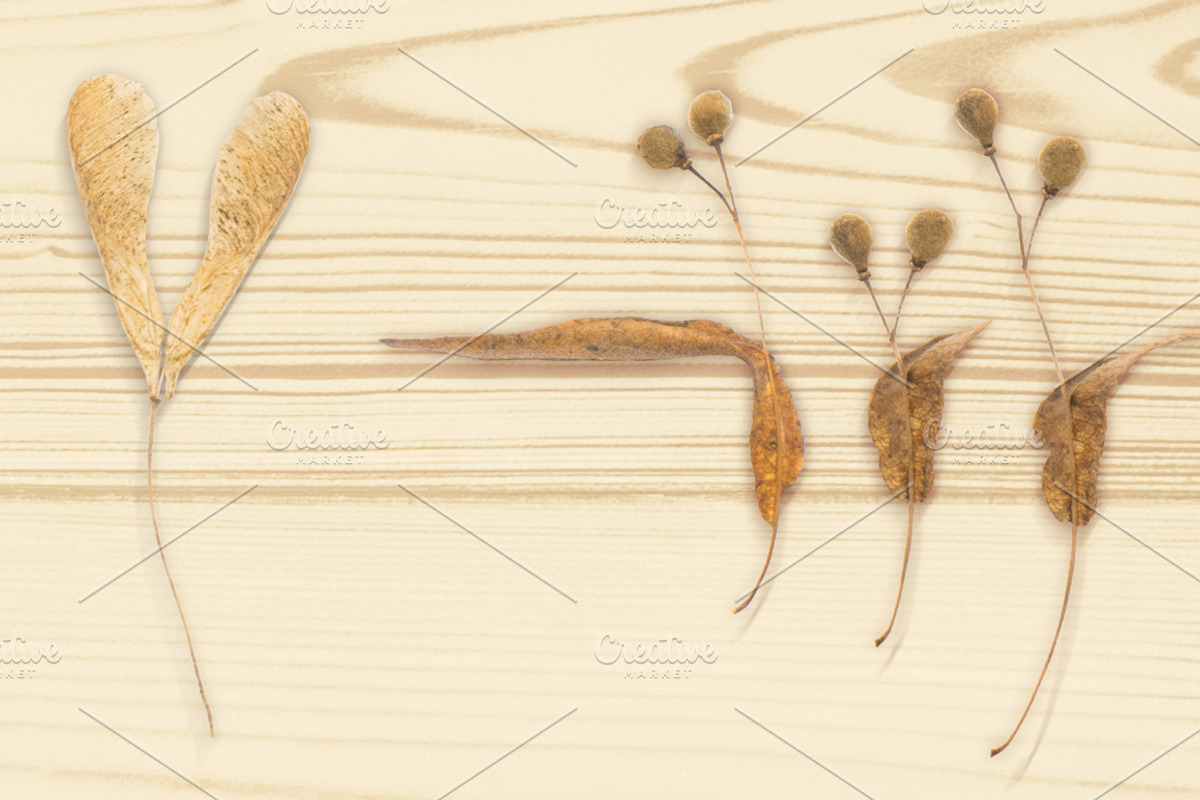 Autumn Floral Mockup Objects, an Object Graphic by uncle-rico (Photo 6 of 13)