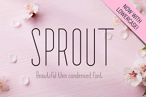Sprout - Sans Serif Font, a Sans Serif Font by CorgiAstronaut