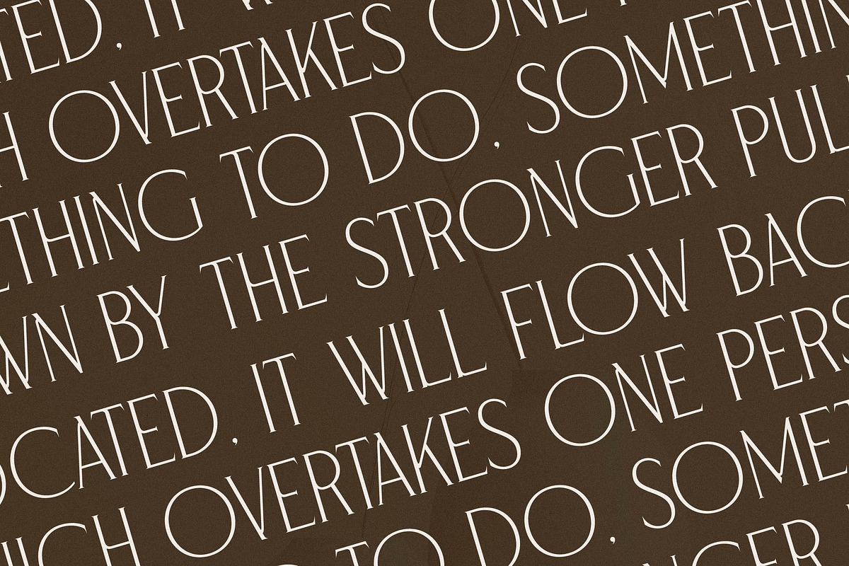 Serafilms Modern Stylish Serif, a Serif Font by Storytype Studio (Photo 9 of 15)