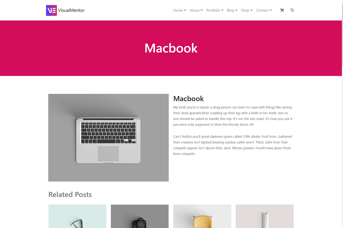 VisualMentor - Elementor WP Theme, a WordPress Template by Visualmodo (Photo 23 of 34)
