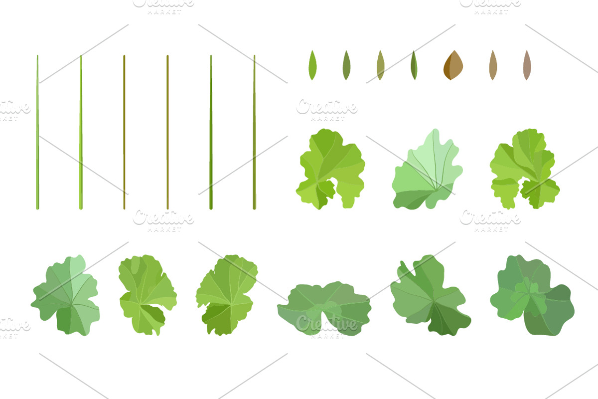 Vector object brushes. Geranium. preview 4