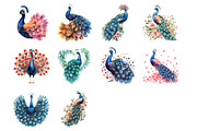 Valentine's Peacock Watercolor, an Illustration by Design Market (Thumbnail 2 of 3)