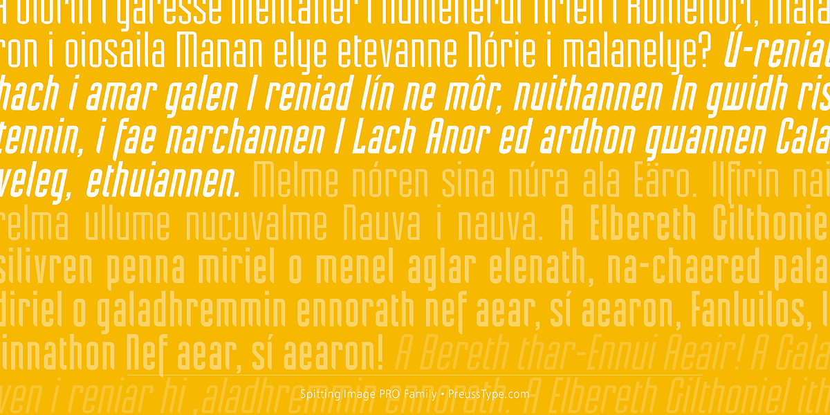 Spitting Image PRO, a Sans Serif Font by preussTYPE (Photo 3 of 9)