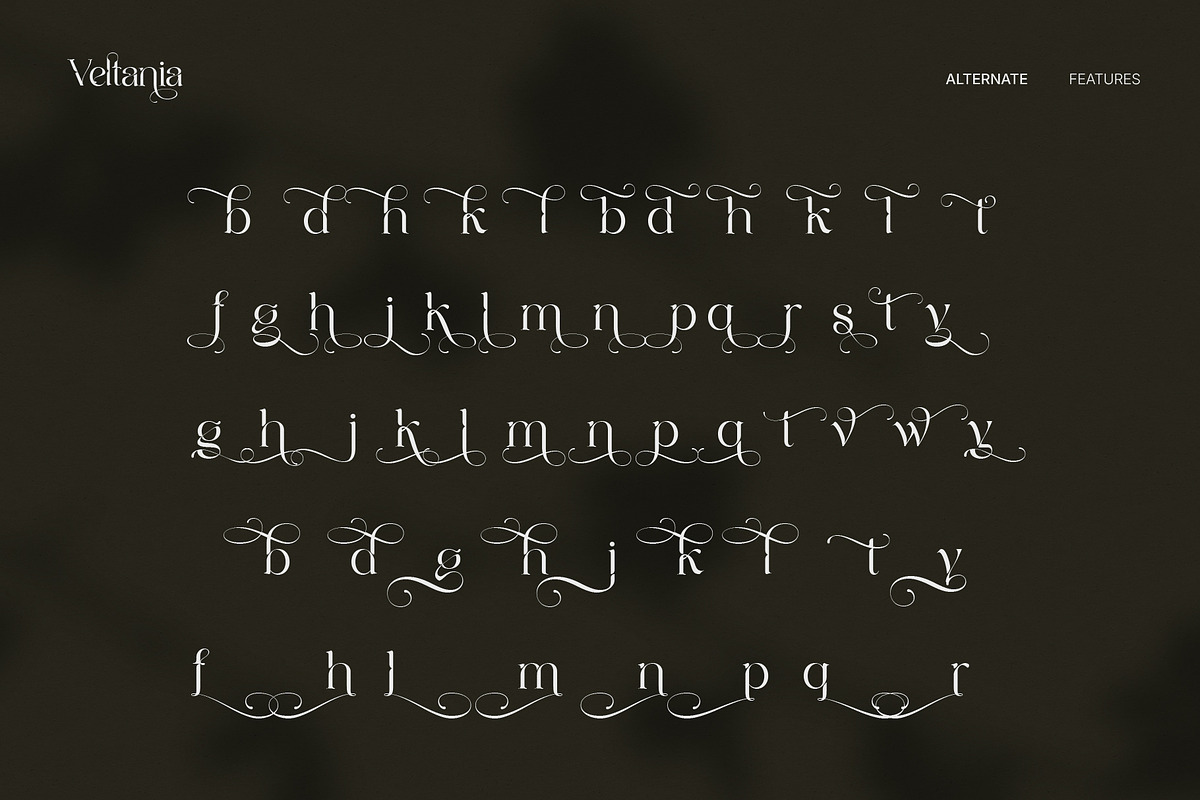 Veltania - Modern Serif Font, a Serif Font by Inviline.co (Photo 6 of 14)
