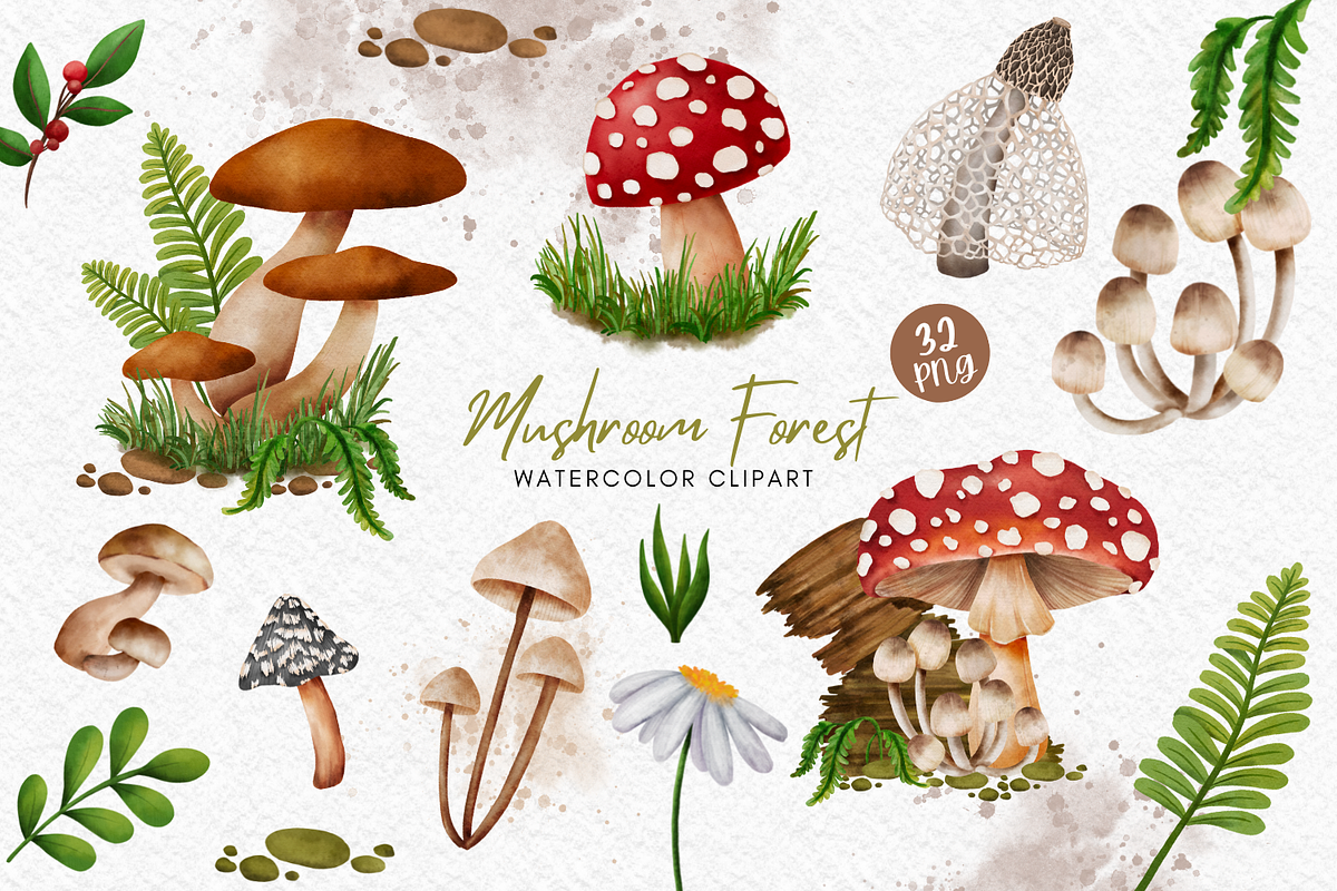 Mushroom Forest watercolor clipart, a Decorative Illustration by AkiraVilla (Photo 1 of 11)