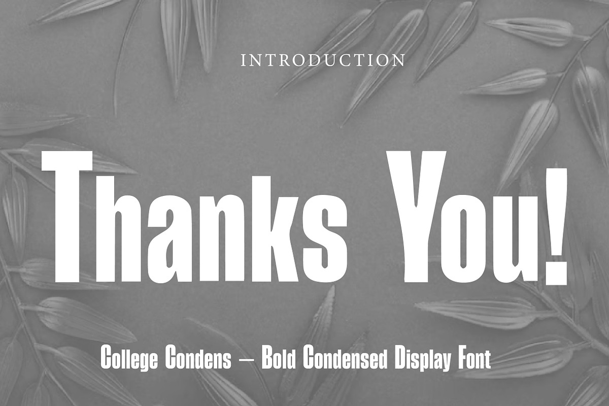 College Condens, a Slab Serif Font by Wow Magic (Photo 3 of 3)