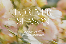 Delicate Blurry Floral Backgrounds by  in Graphics