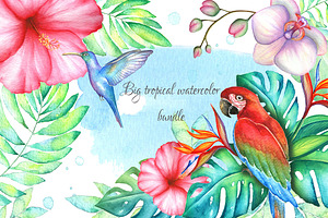 Big tropical bundle