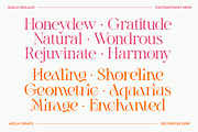 Adelia Mixable Serif, a Serif Font by Sam Parrett (Thumbnail 10 of 11)