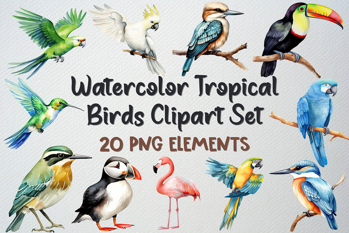 Watercolor Tropical Birds Clipart, an Animal Illustration by CropUp Creative (Photo 1 of 5)