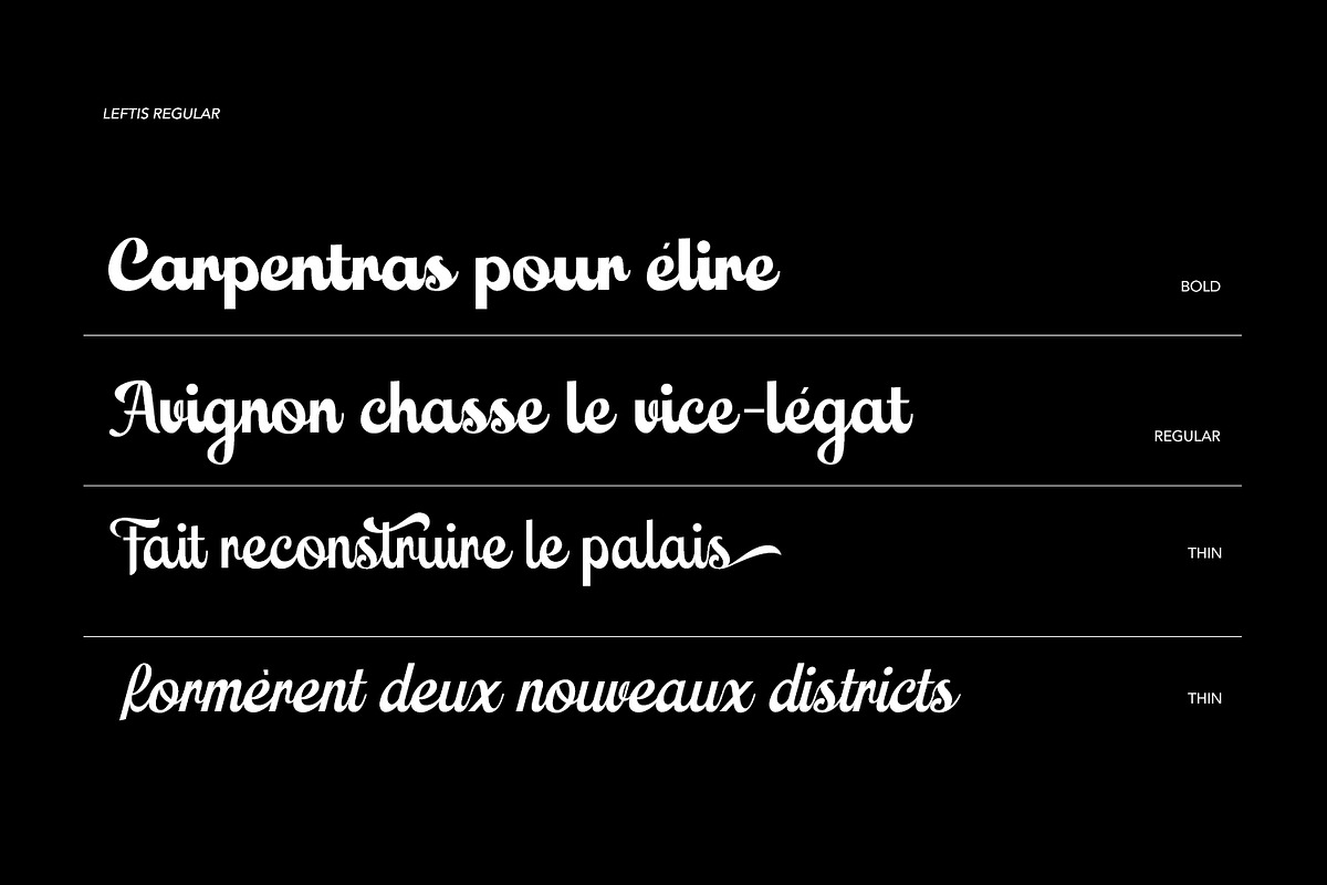 Leftis, a Script Font by Naksatra (Photo 10 of 14)