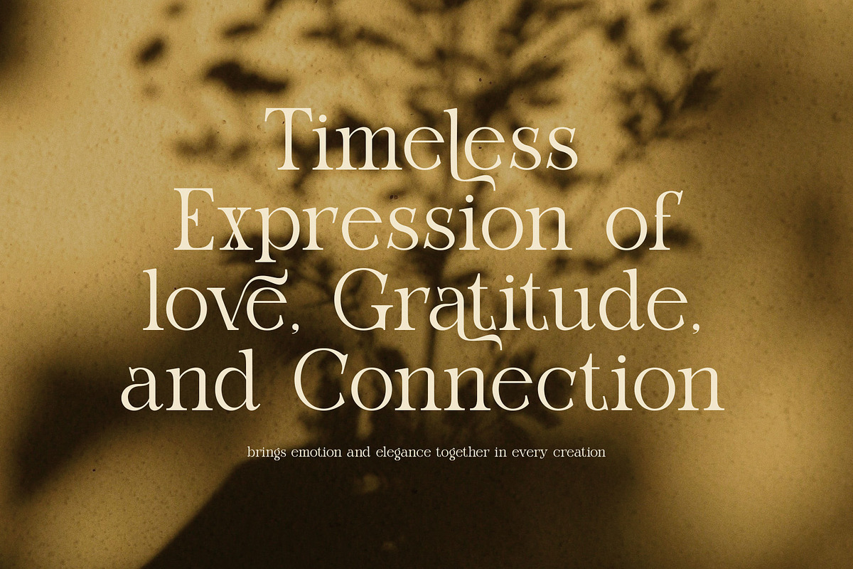 Quality Elegant Serif Font, a Serif Font by Perfectype (Photo 5 of 8)