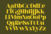Broftin Resort Bold Serif Display, a Serif Font by timelesstype.co (Thumbnail 16 of 20)