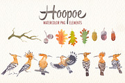 watercolor hoopoe bird clipart, an Illustration by Art & Things (Thumbnail 5 of 5)