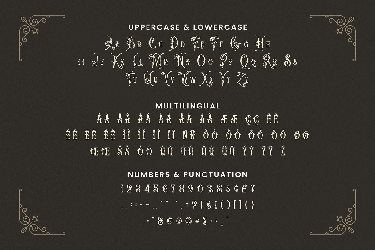 Chartenz Font, a Serif Font by Haws.std (Photo 5 of 5)