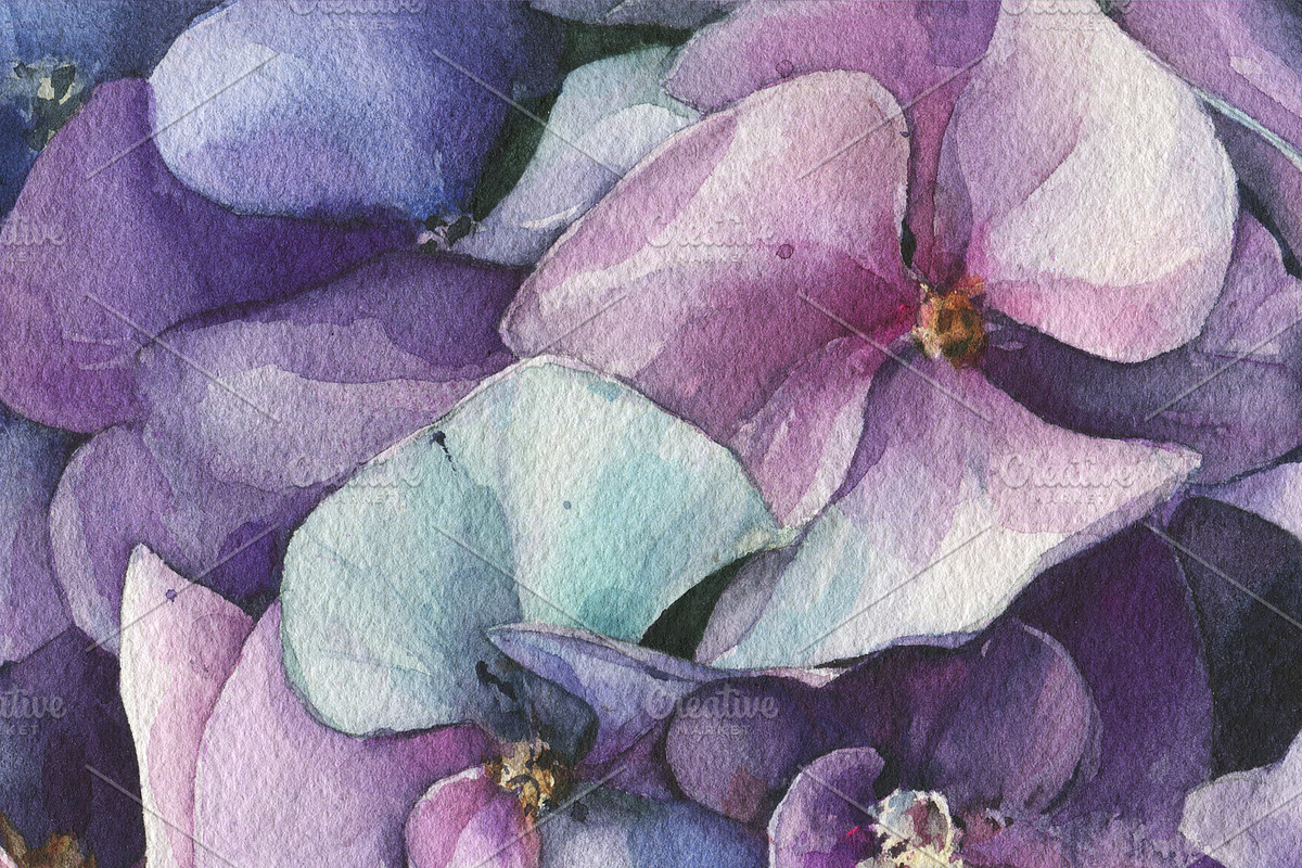 Watercolor violet Hydrangea painting, an Illustration by Khrys.art (Photo 5 of 8)