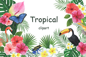 Tropical Watercolor. Tropical Flower