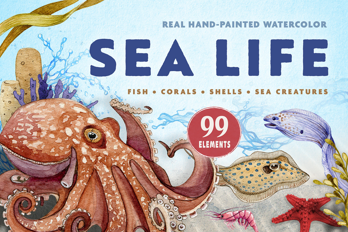 Sea Life Watercolor Clipart Set, an Animal Illustration by AnitaPol (Photo 1 of 16)