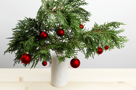 Vase with thuja branches and hanging Christmas ornaments creating a festive dis, a Photo by matucha