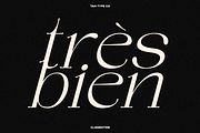 TAN - CLEMENTINE, a Serif Font by TanType (Thumbnail 3 of 20)