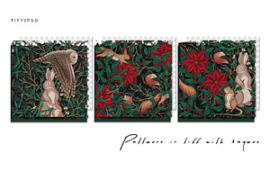 CHRISTMAS FOREST - Patterns & Motifs