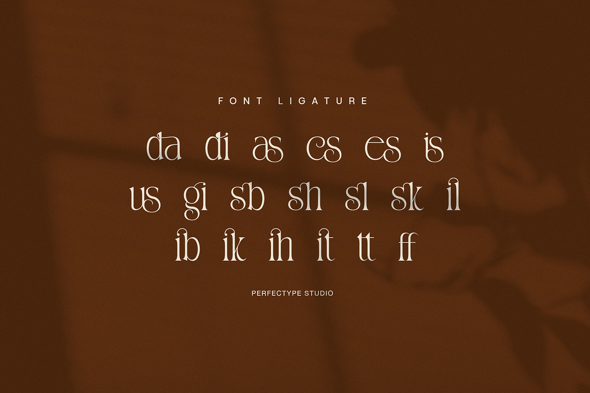 Cigas Elegant Serif Font, a Serif Font by Perfectype (Photo 8 of 8)