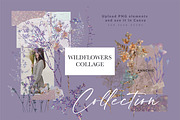 Wildflowers collage collection, a Texture Graphic by Anna Sokol (Thumbnail 17 of 21)