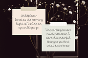 Wildflower Script Font, a Script Font by Sofia Skoog (Thumbnail 11 of 11)