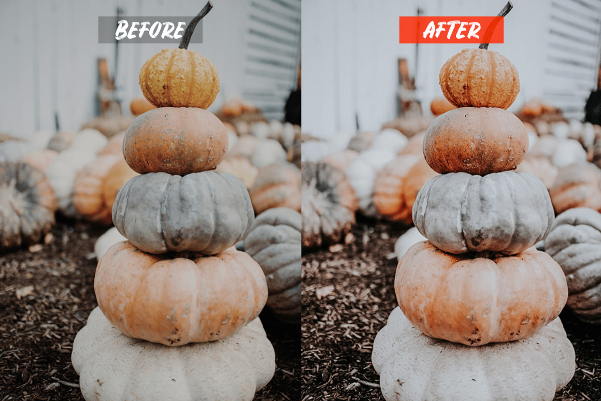 Film Lightroom Presets, an Action Add-On by Lavinsky Art Store (Photo 5 of 6)