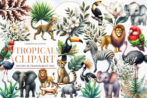 Tropical clipart bundle, an Illustration by Designworld