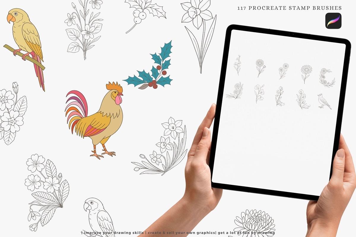 birth month flowers birds procreate