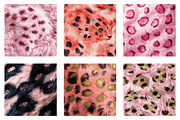 Pink Leopard Fur Seamless Pattern, an Illustration by Dream Creation (Thumbnail 6 of 7)