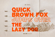 Salva Libre - Letter Stamp Font, a Serif Font by ikiiko (Thumbnail 5 of 7)
