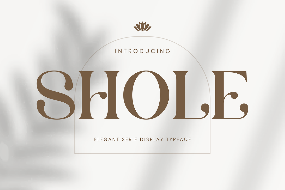Shole - Display Serif Font, a Serif Font by Aqeel_Art (Photo 1 of 12)