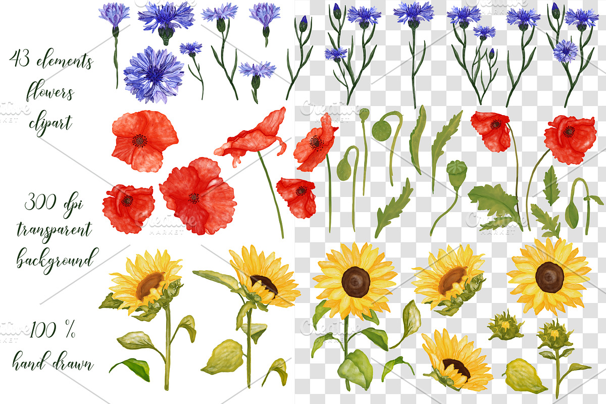 Wildflowers, stripes, checks bandle, a Pattern Graphic by Oksana Dovhopol Art (Photo 20 of 23)