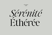 The Kingsy Serif (09 fonts), a Serif Font by Positive TypeFoundry (Thumbnail 14 of 17)